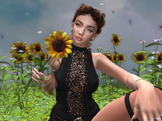 Original 62cef6b1211a3f5f2a64f9a2