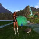 Thumb 5232fefb9928141935000001