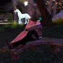 Thumb 5f8dd82ed774f8385a5d2761