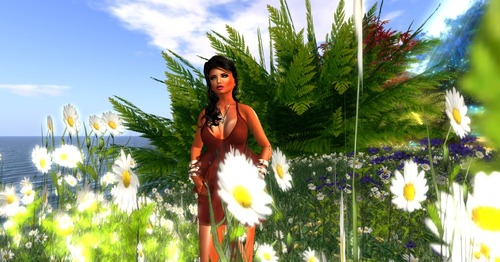 Web 521a0dd3c05e364928000001