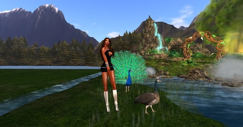 Web 5232fefb9928141935000001