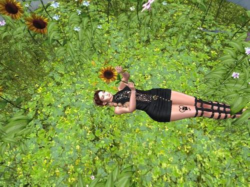 Web 62cef60d211a3f5a6864f9a2