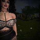 Thumb 6211e969b085a4491fed4a29