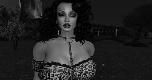 Web 6211ea46b085a44e14ed4a29