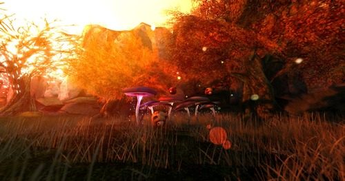 Web 547acdc5a73e2161a0000001