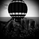 Thumb 56561a2cf8a1ec3b17000001