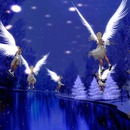 Thumb 58052306f8a1ec5d9f000001