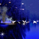 Thumb 5805284ef8a1ec053e000001