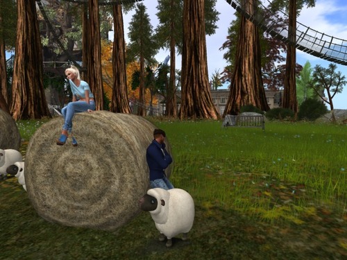 Web 56561944128cc92825000001