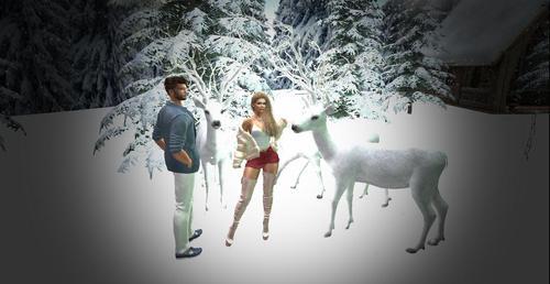 Web 5fdbc7cbc23e6a61399318cd