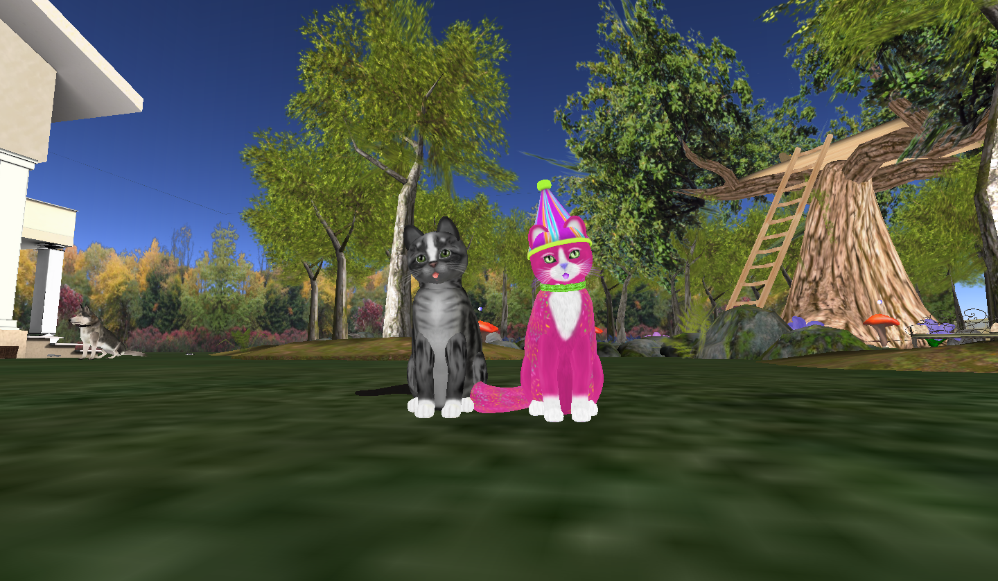 Original 5349f90aa73e21050a000001