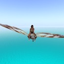 Thumb 51d258169fbfef01a2000001