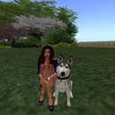 Thumb 53142a22a73e216f84000001