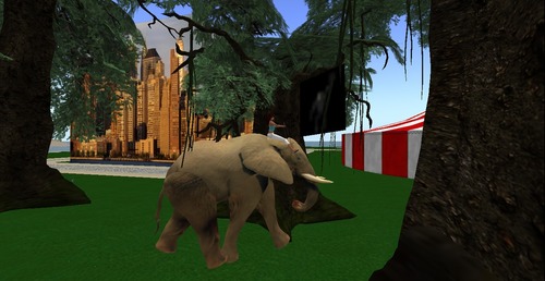 Web 51a11b4a8212b02dbc000001