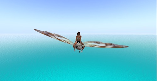 Web 51d258169fbfef01a2000001