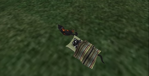 Web 531424bda73e214c50000001