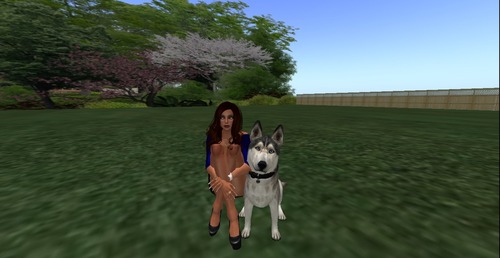 Web 53142a22a73e216f84000001