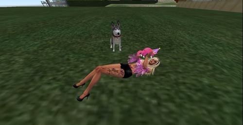 Web 53158a72f8a1ec249a000001