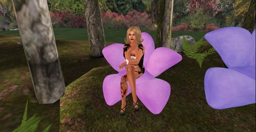 Web 53321086128cc9761b000001