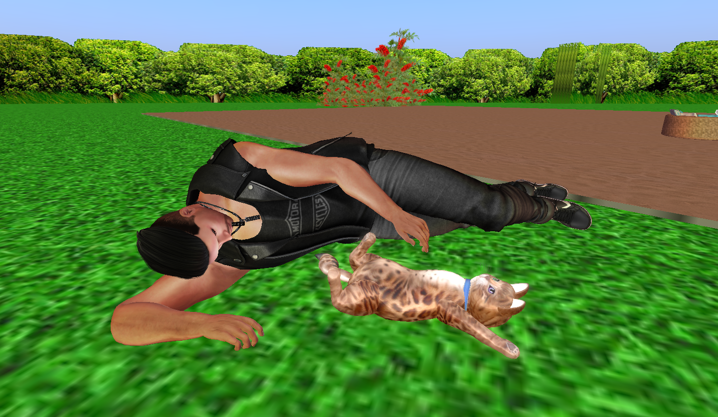 Original 5a1052d6d774f83228000001