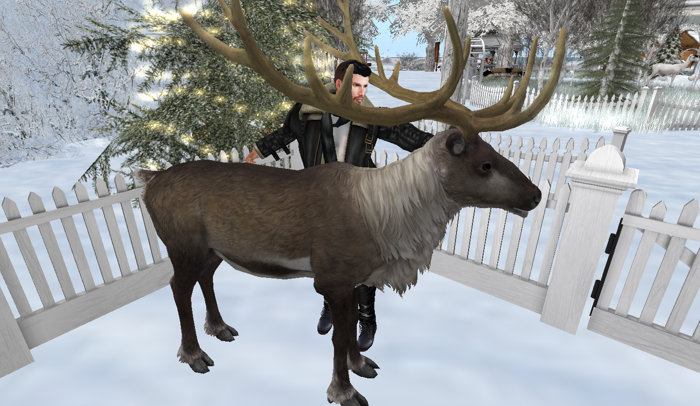 Original 5a24610f73ed17562f000001