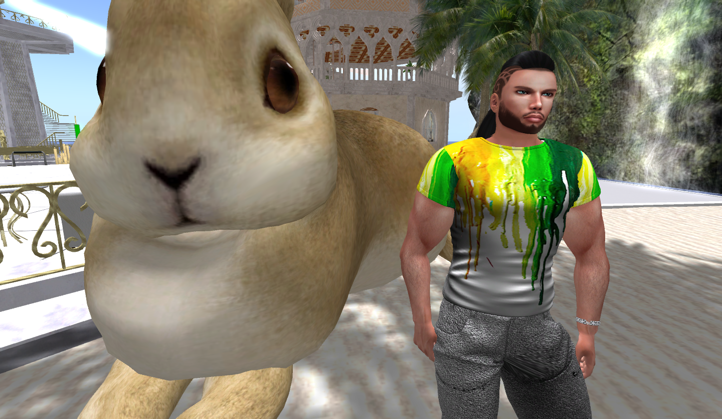 Original 5e513139d9859c0ea0591454