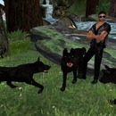 Thumb 576e5c80b015401cc4000001