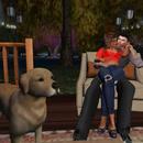 Thumb 59f2440373ed1706b0000001