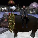 Thumb 5a329e82d774f816ec000001