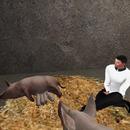 Thumb 5c16c836289dd2245a000001