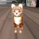 Thumb 5ca0b44773ed1748f0000001