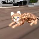 Thumb 5ca0b489d774f80bba000001