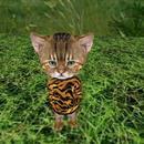 Thumb 5ee382edd9859c3898e2ea6a