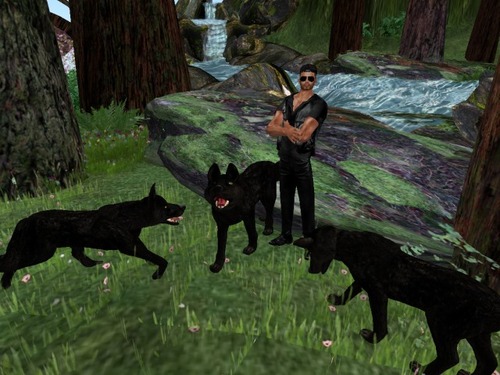 Web 576e5cb6e85cda1413000001