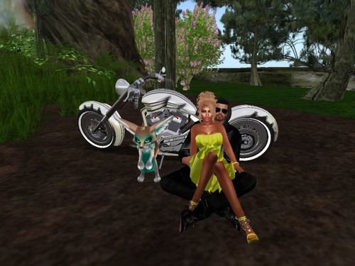 Web 5771717ef8a1ec061e000001