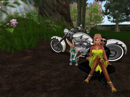 Web 5771718fb713f75056000001