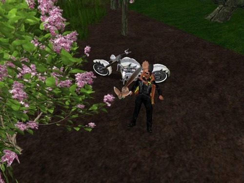 Web 577172bab015405b8e000001