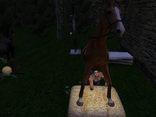 Web 5772c7daf8a1ec7ad6000001