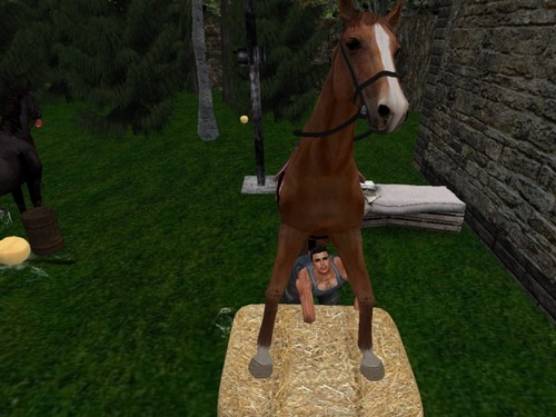 Web 5772c7f7b01540023e000001