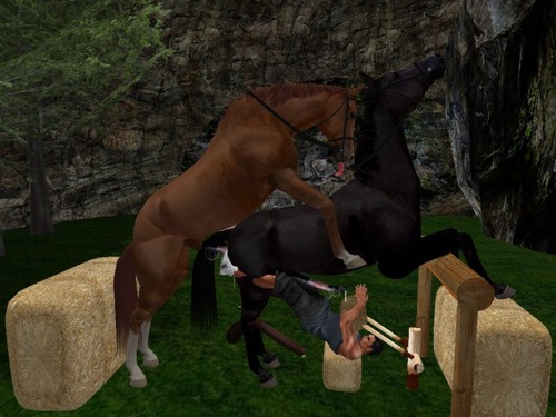 Web 5772c8bab713f707a4000001