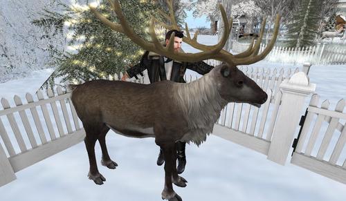 Web 5a24610f73ed17562f000001