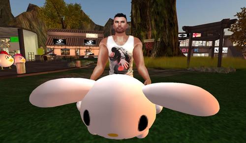 Web 5a58ccf473ed1723dc000001