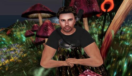 Web 5a5937dc73ed173864000001