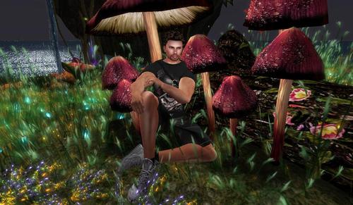 Web 5a59381873ed173a52000001