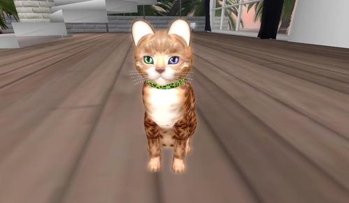 Web 5ca0b44773ed1748f0000001