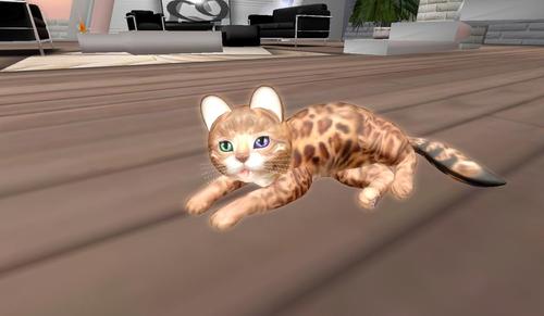 Web 5ca0b489d774f80bba000001