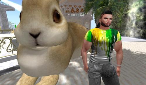 Web 5e513139d9859c0ea0591454