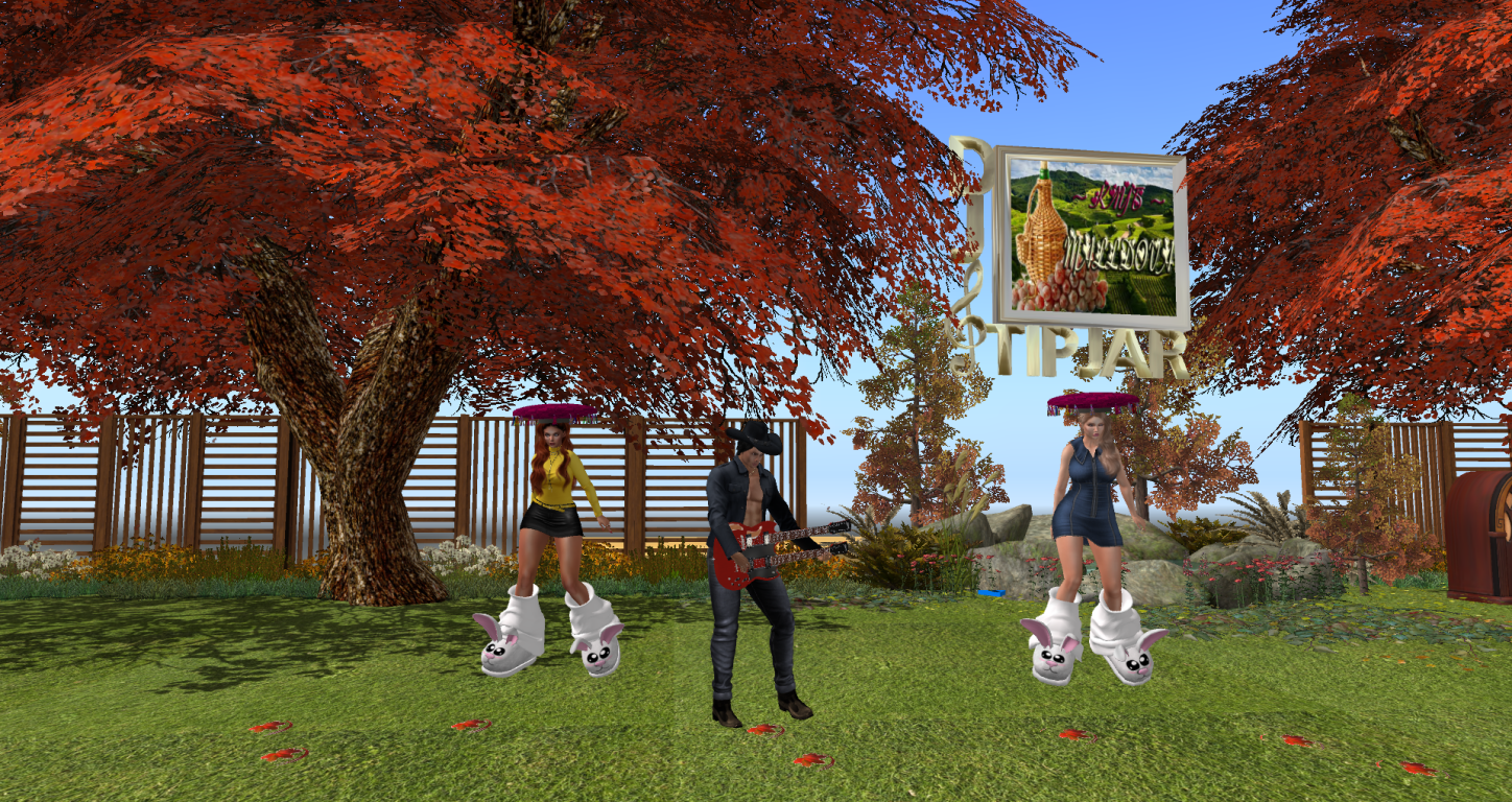 Original 5f9347d1d9859c6bf7f50b64