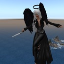 Thumb 5104891c5b6cc45bc6000001