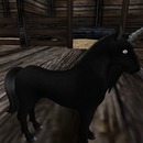 Thumb 53c05a19128cc904e2000001